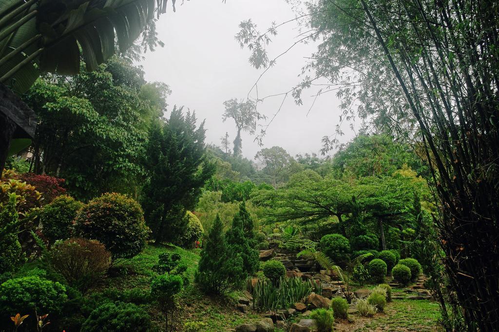 Harmony Valley Retreat Bukit Tinggi Eksteriør bilde