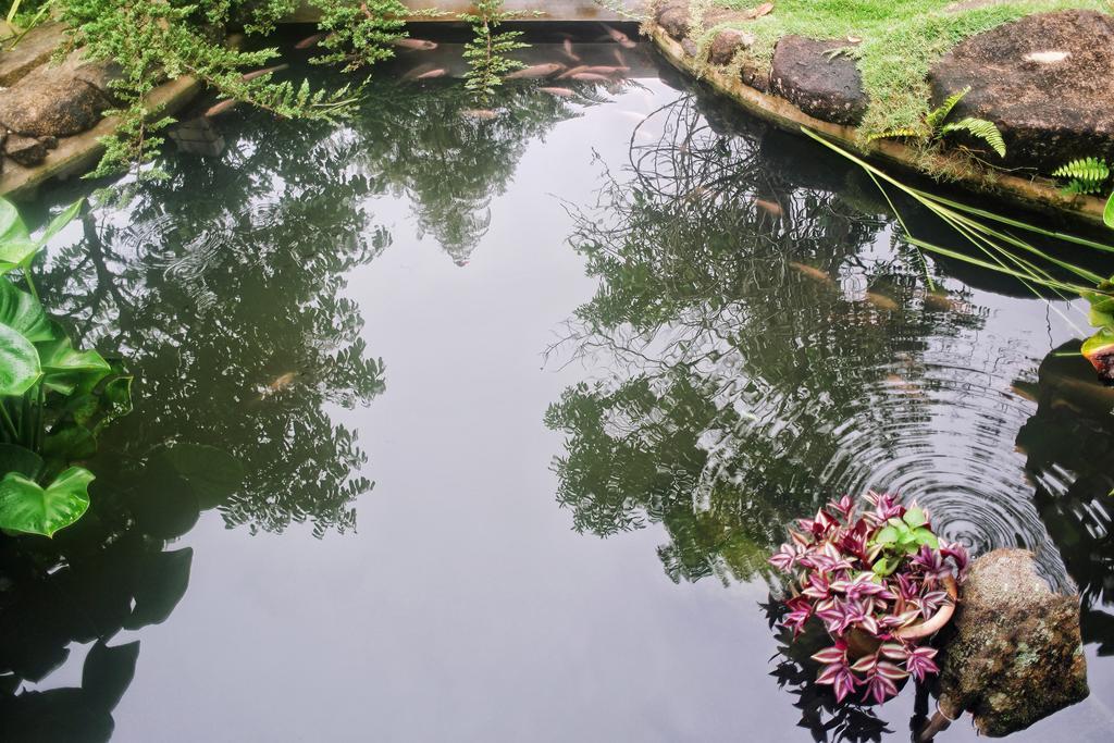Harmony Valley Retreat Bukit Tinggi Eksteriør bilde